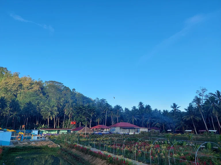 Wisata Lampung 2025 yang Tiket Masuknya Cuma Rp 10 Ribu, Nomor Tiga Tempat Favorit