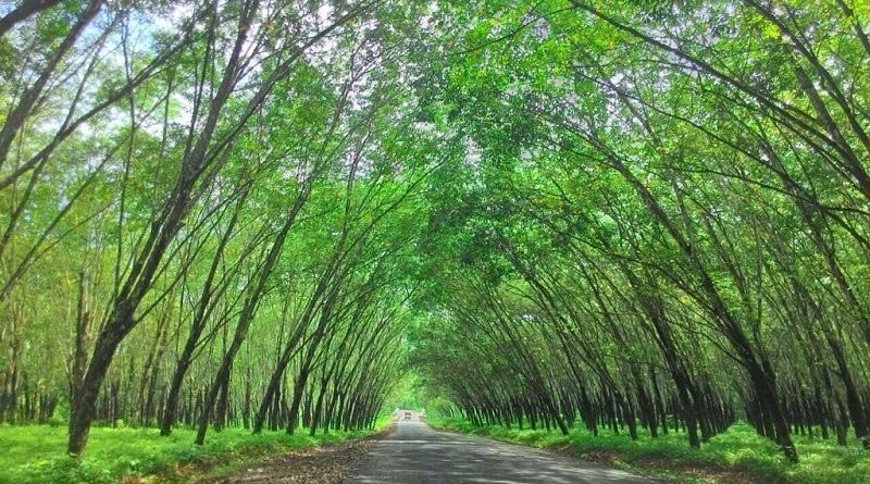 Tempat ini merupakan destinasi yang cukup menjanjikan untuk Lokasi atau spot foto prewedding. Foto Komunitas Honda