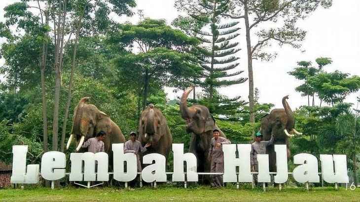 Salah satu tempat foto prewedding yang bertemakan alam juga satwa. Hal ini cocok untuk tempat prewedding.