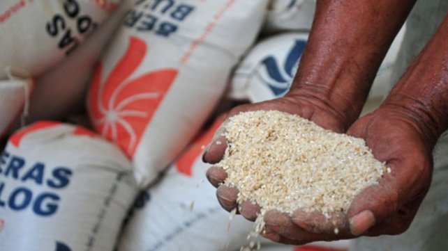 Pemerintah Salurkan 360 Ribu Ton Beras untuk Warga Rentan Sepanjang Juli 2025