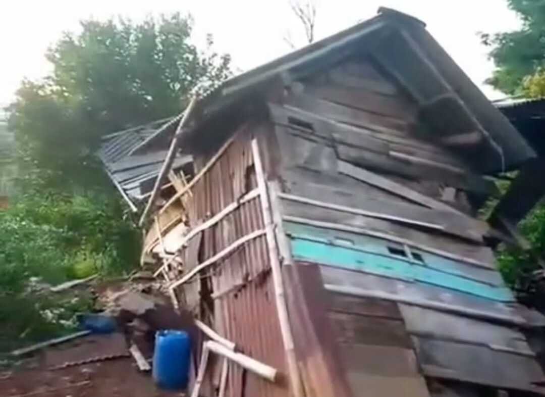 Kawanan Gajah Liar Masuki Permukiman Warga di Tanggamus, Tujuh Rumah Rusak Parah