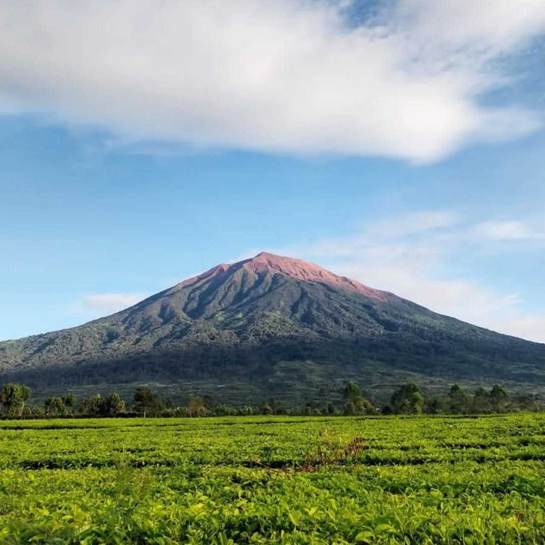 Pesona Gunung Kerinci, Surga Tersembunyi di Atas Awan Sumatera!