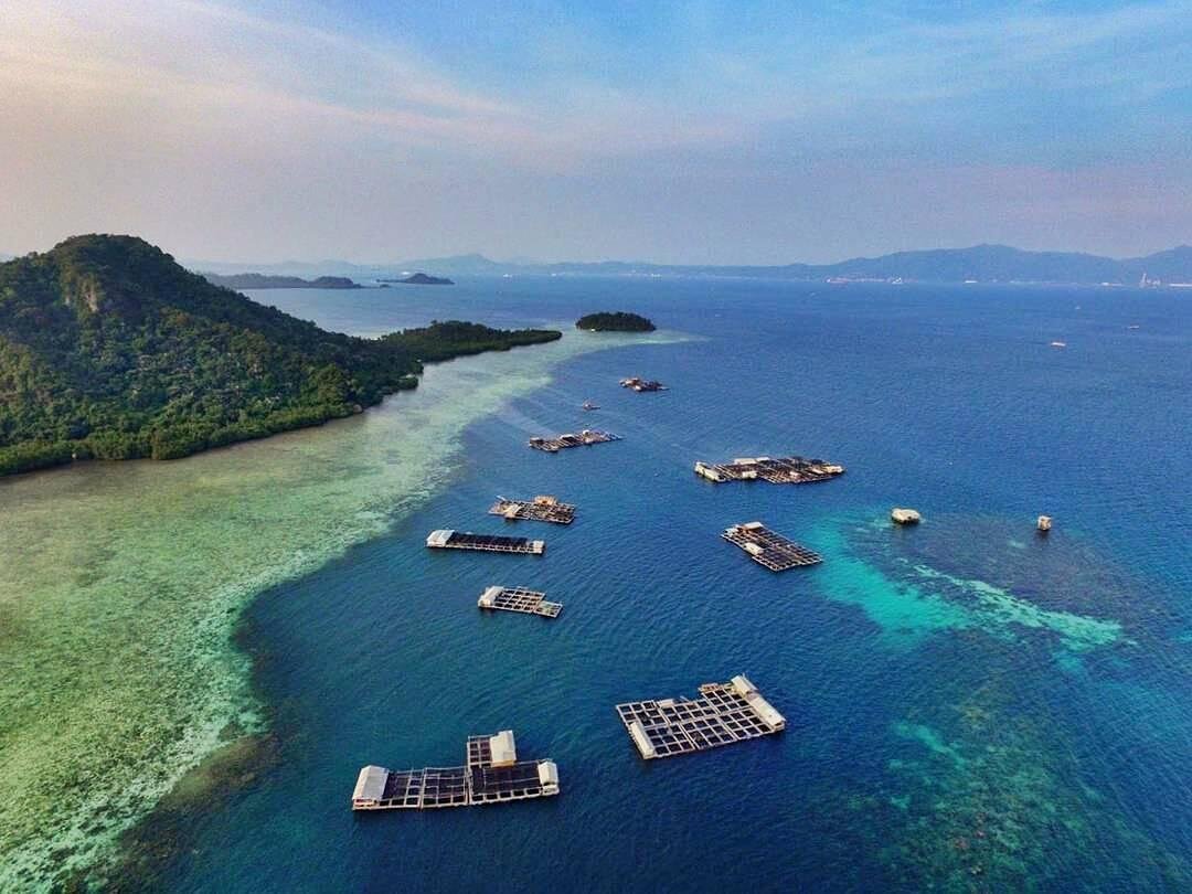 Pantai Sari Ringgung: Destinasi Liburan Keluarga Favorit di Lampung dengan Pesona Alam dan Spot Unik