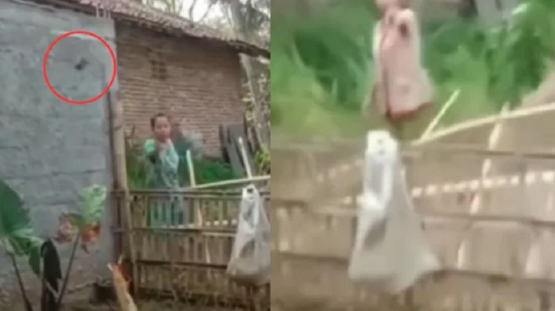 Viral, Beredar Video Seorang Tetangga Buang Kotoran Tinja ke Rumah Warga, Ternyata Ini Fakta Sebenarnya